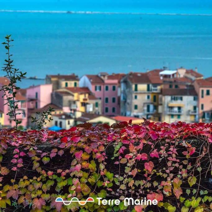 Vascello Di Marola, Terre Marine